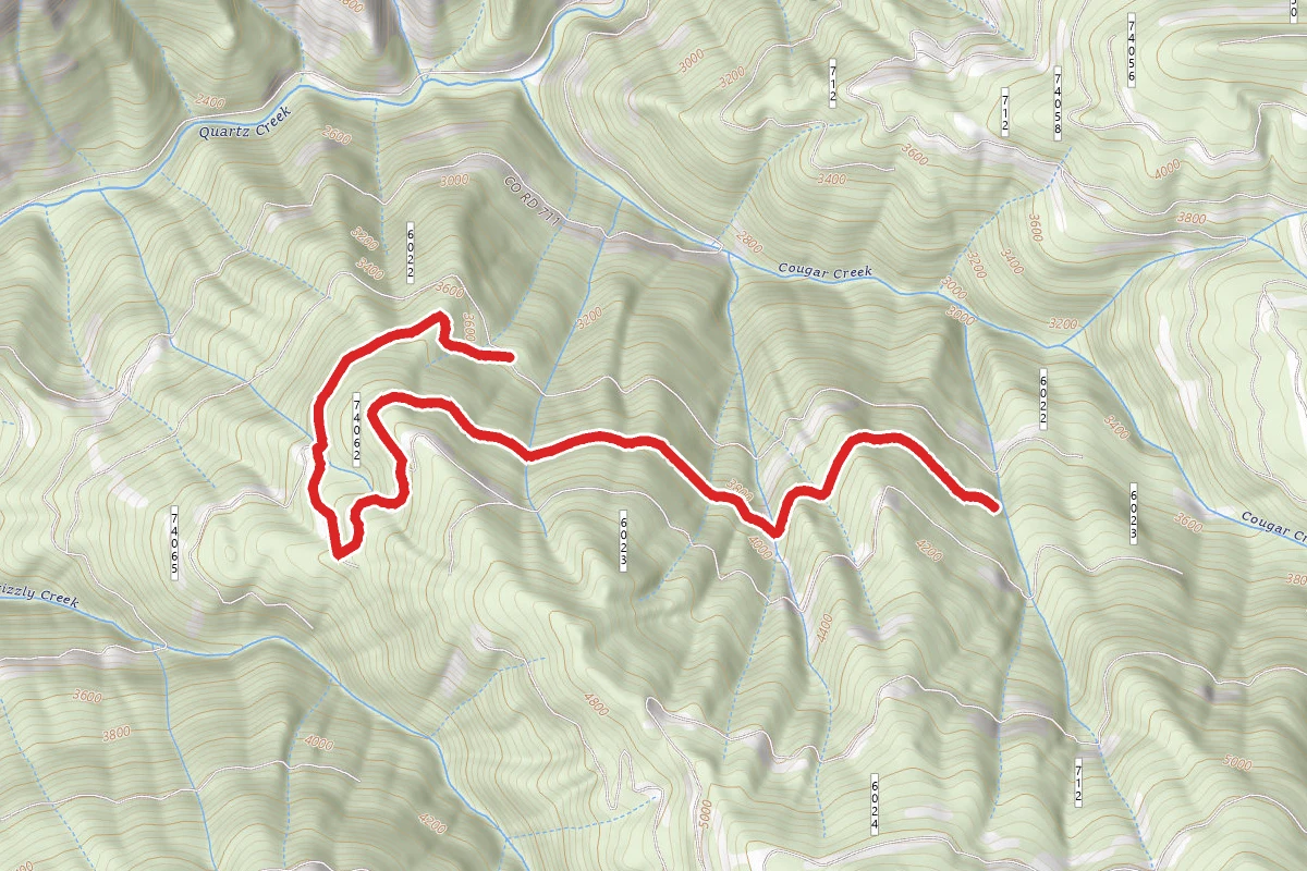 Cougar Creek #1
