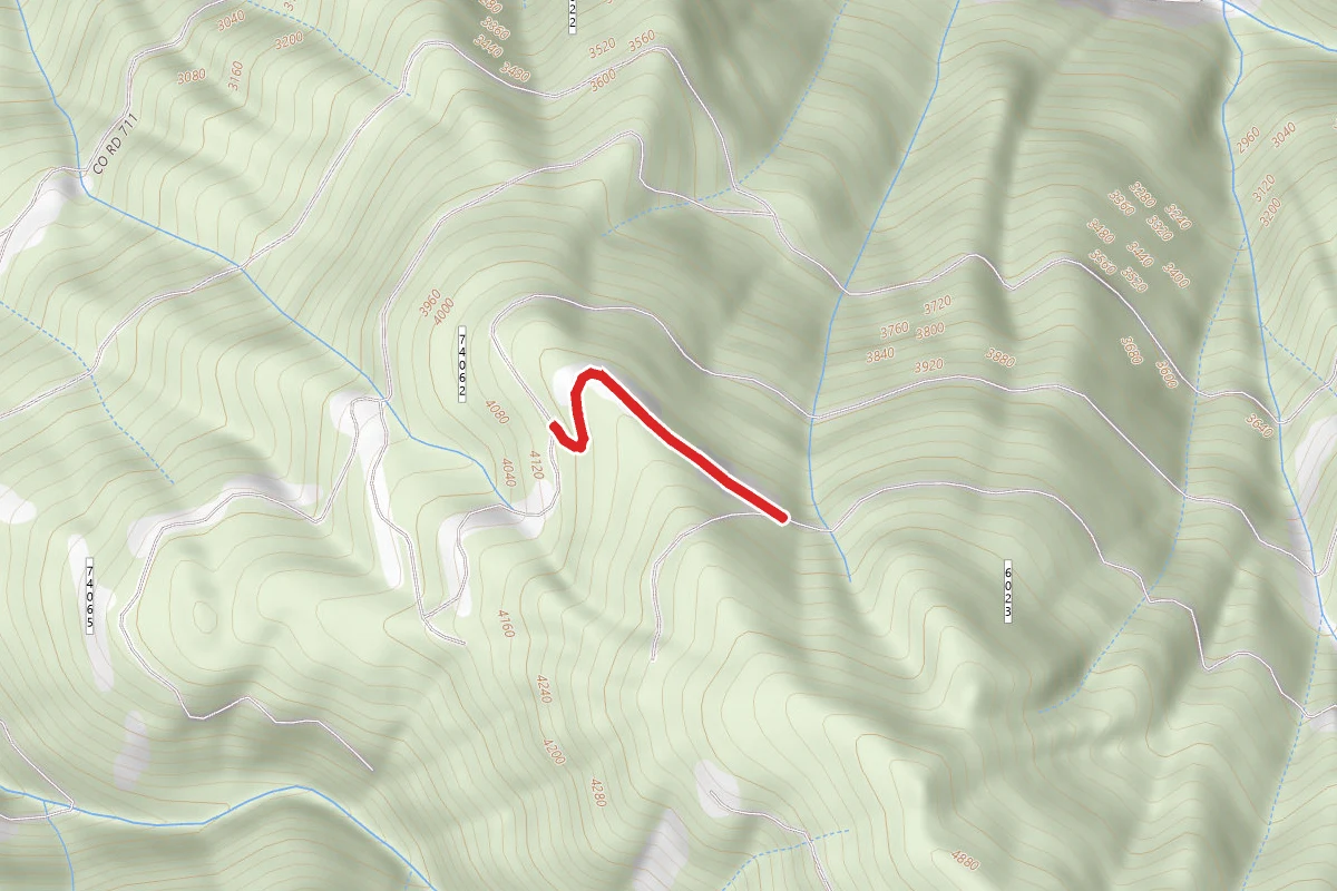 Cougar Creek #2
