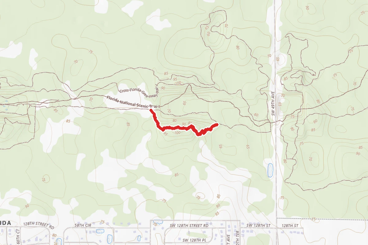 Trail #4