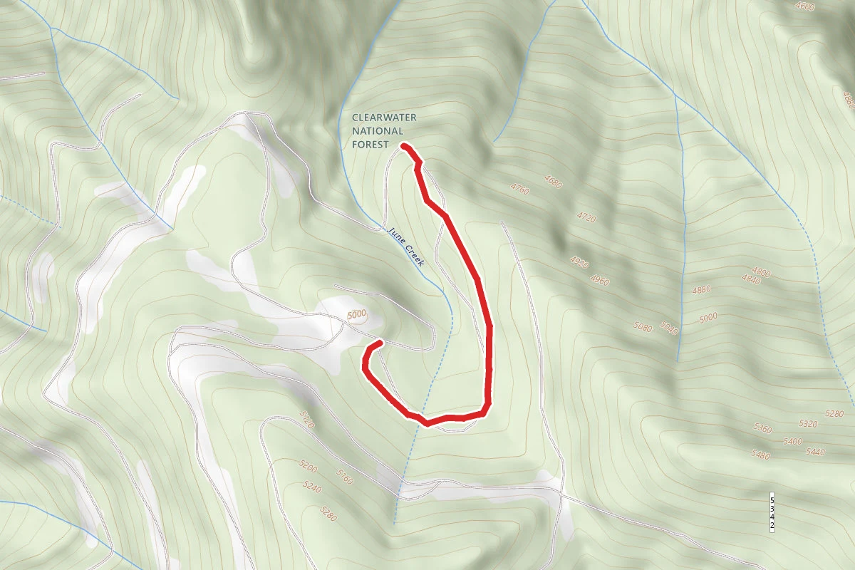 Sheep Creek C
