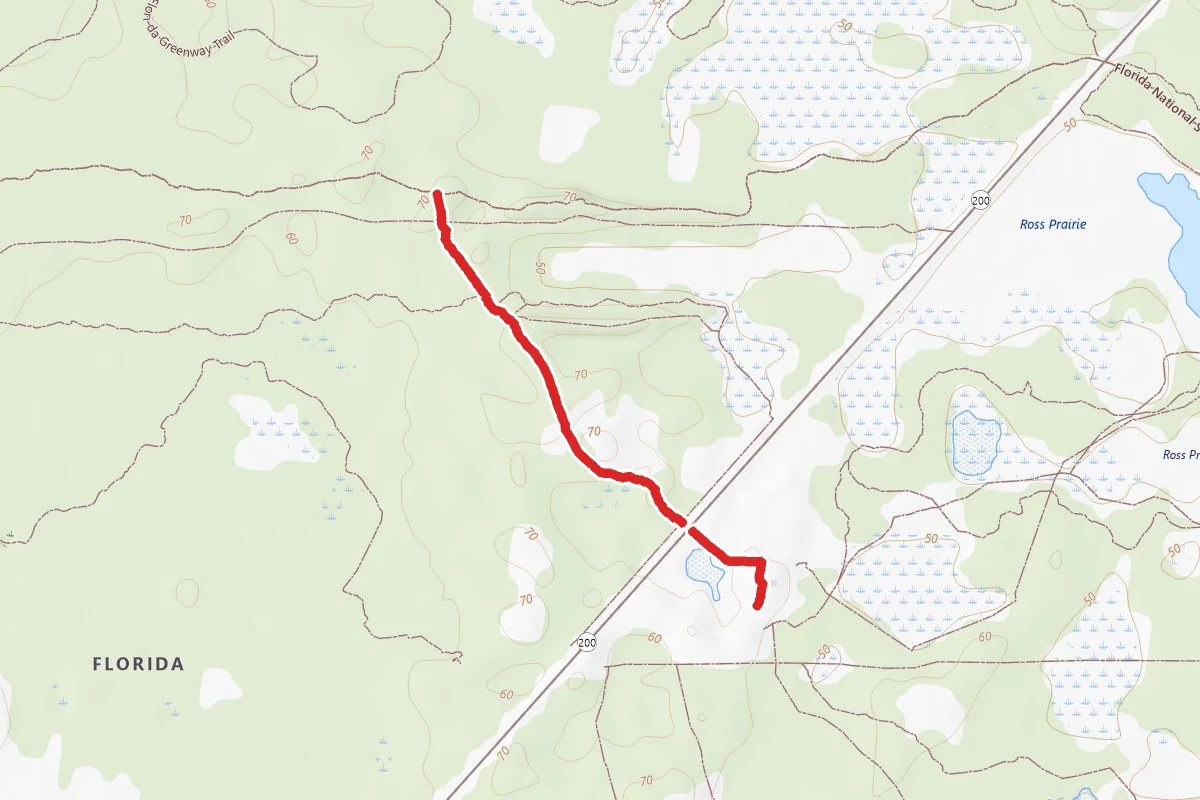 Florida Trail