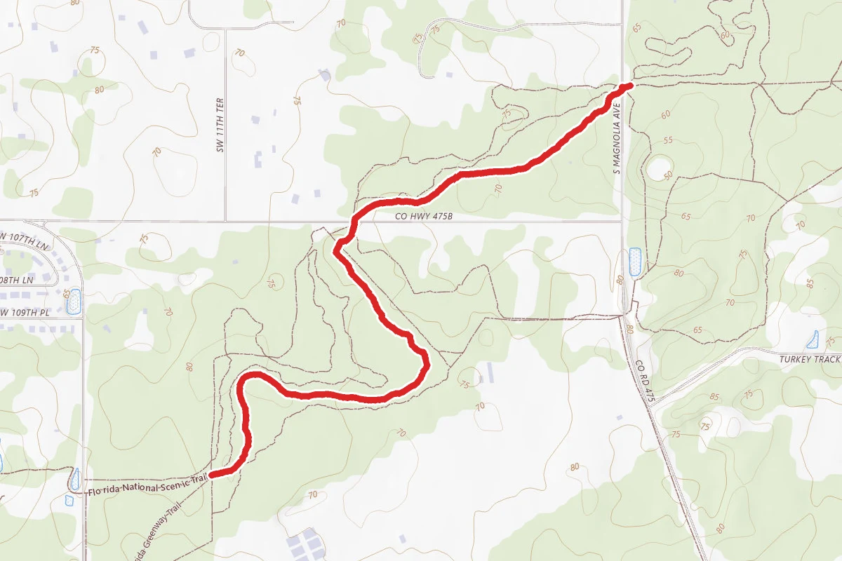 Florida Trail