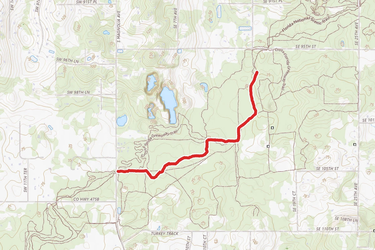 Florida Trail