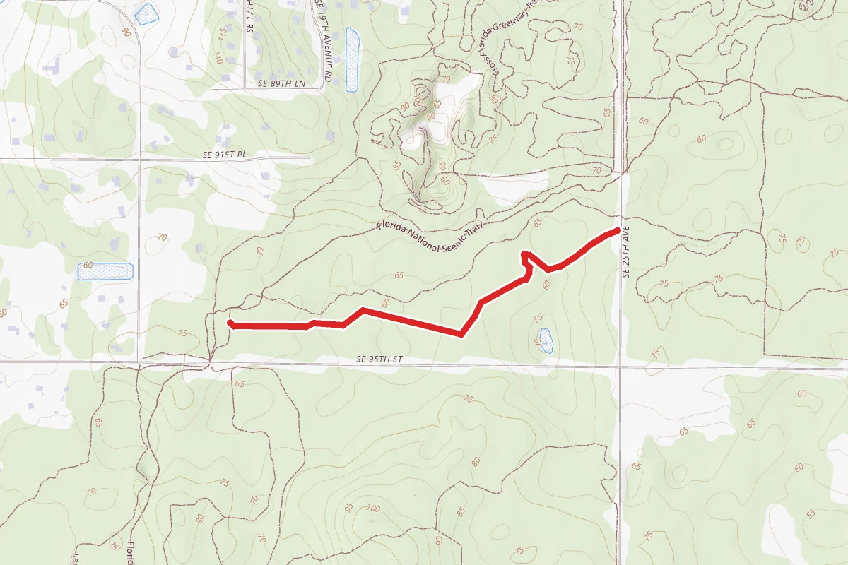 Trail #1