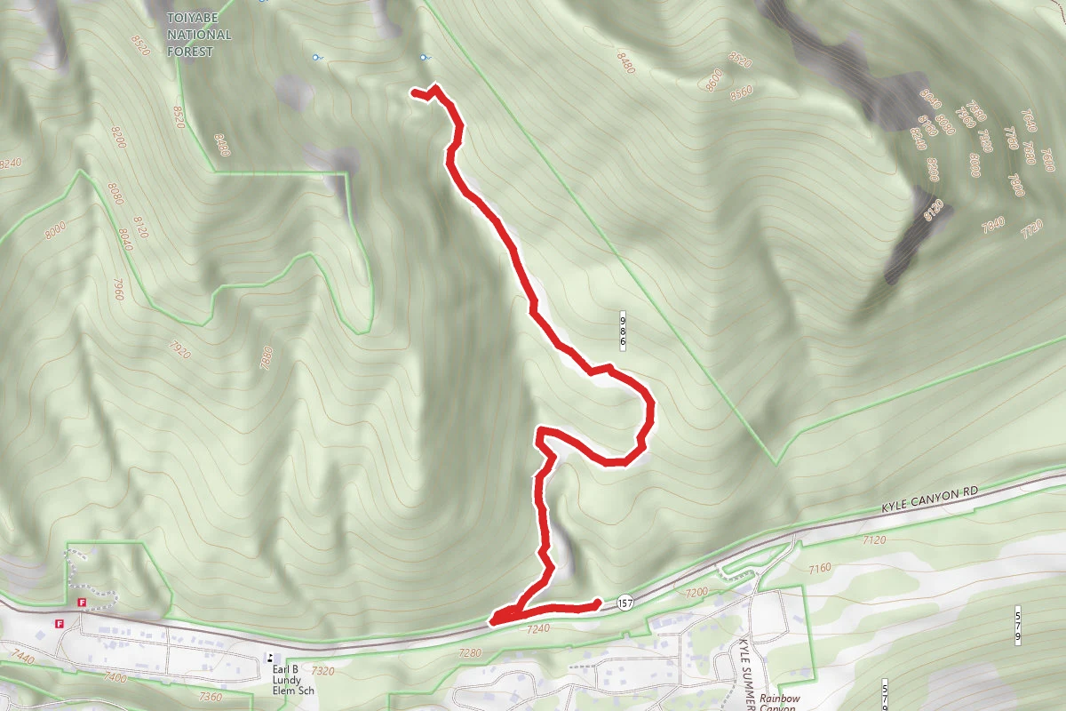 Stanley B Springs Trail