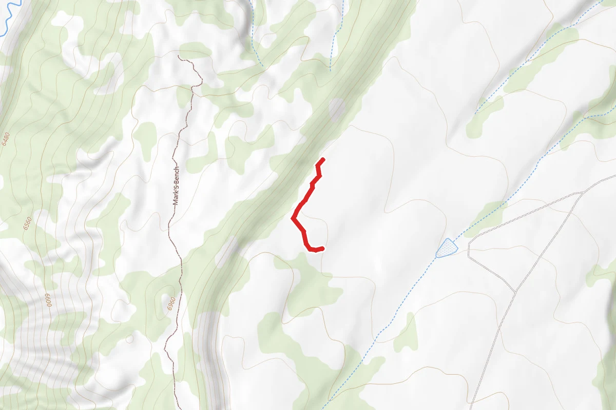 Rough and Ready Camping Loops Road