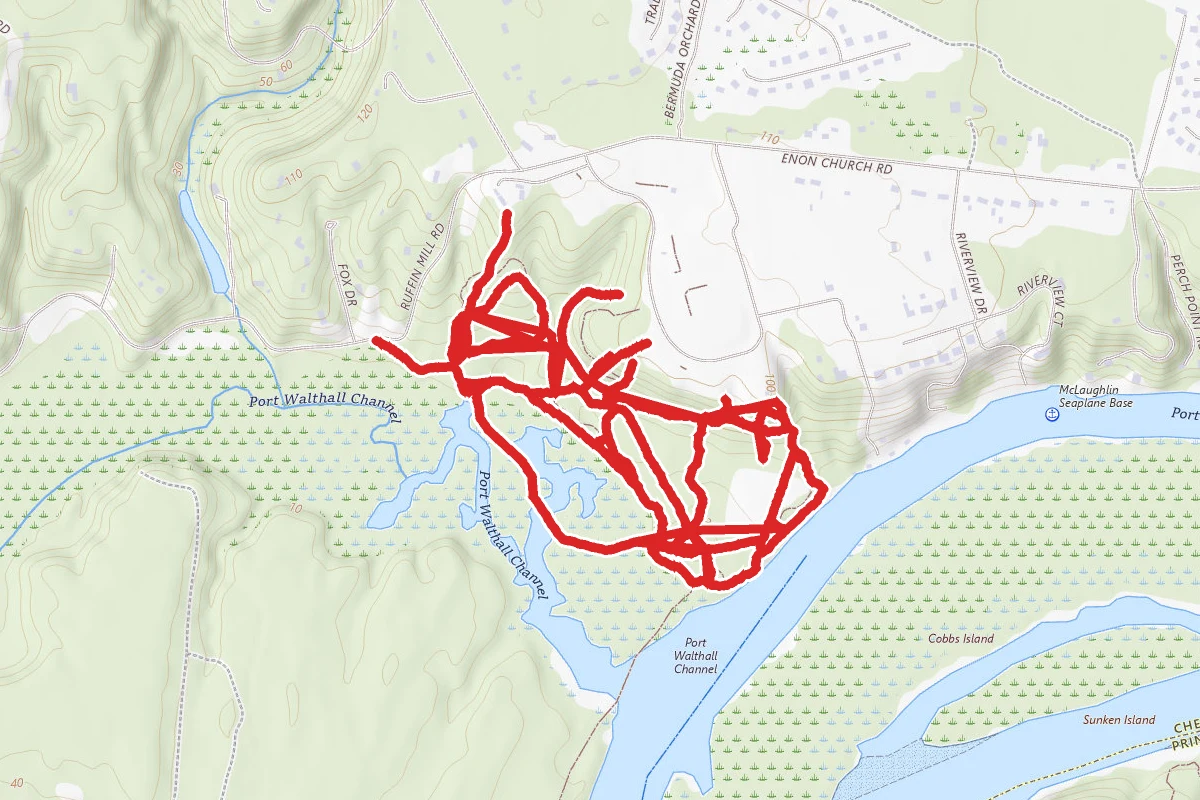 Dodd Park Trails