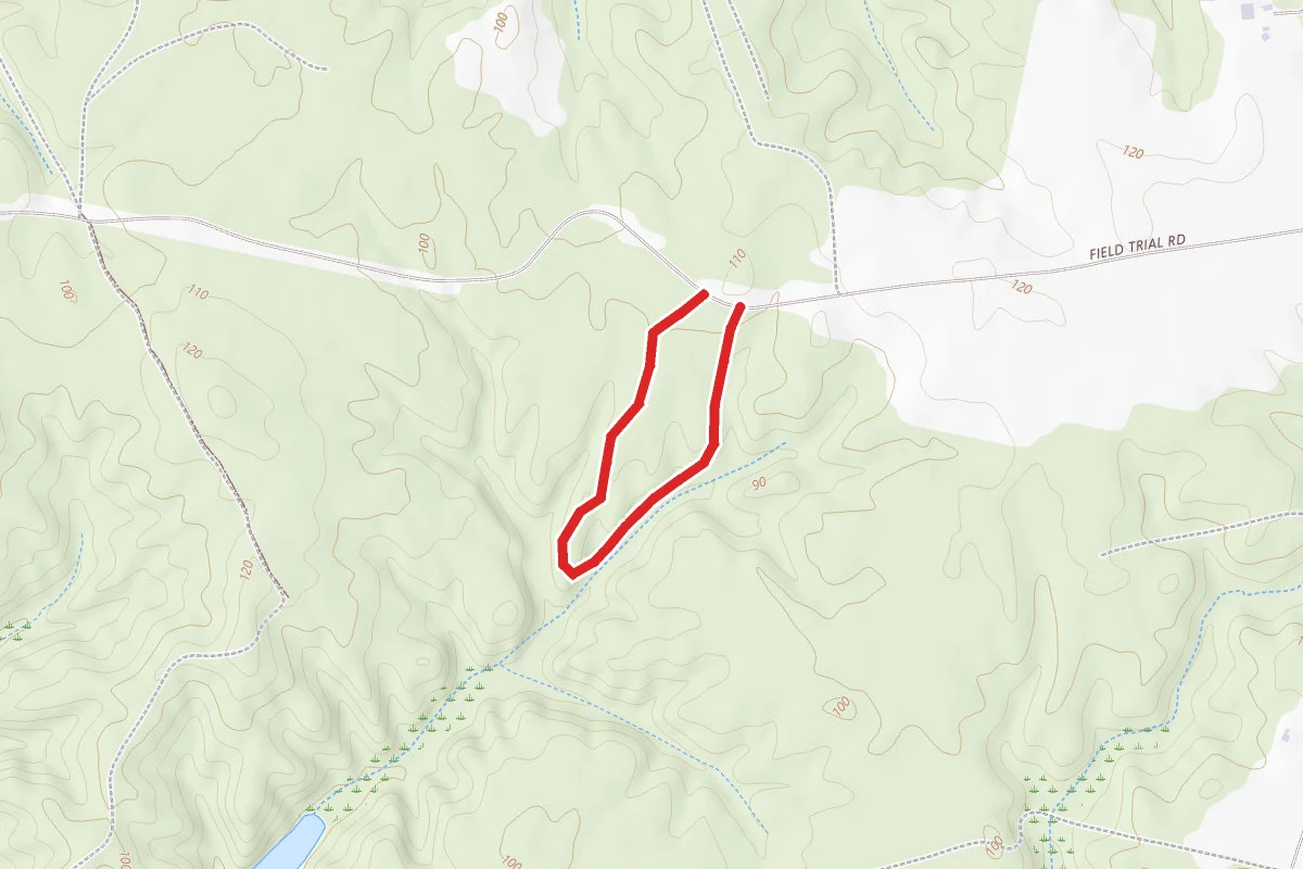 Doghouse Trail