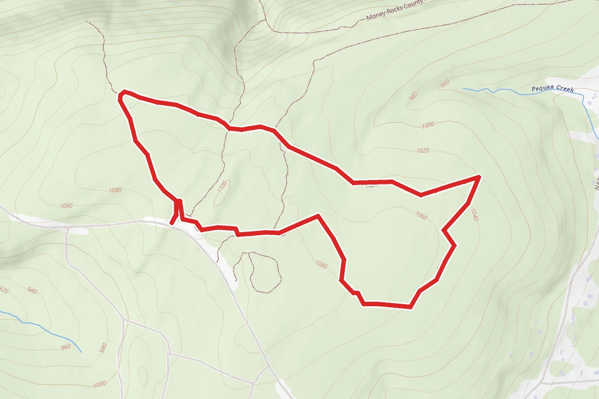 Welsh Mountain Trail
