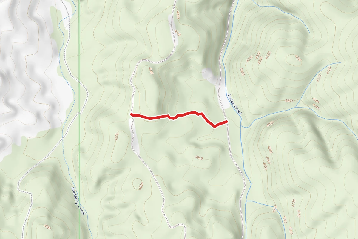 Lodge Creek B