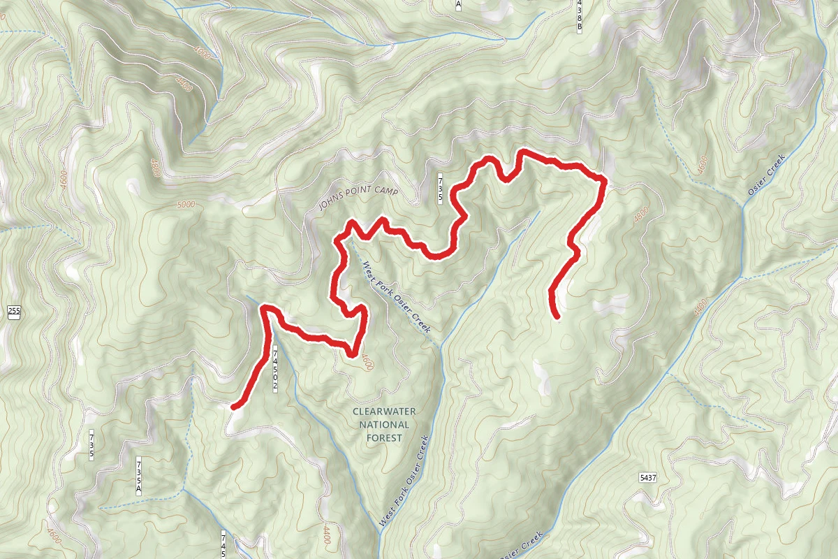 Osier Drainage 2