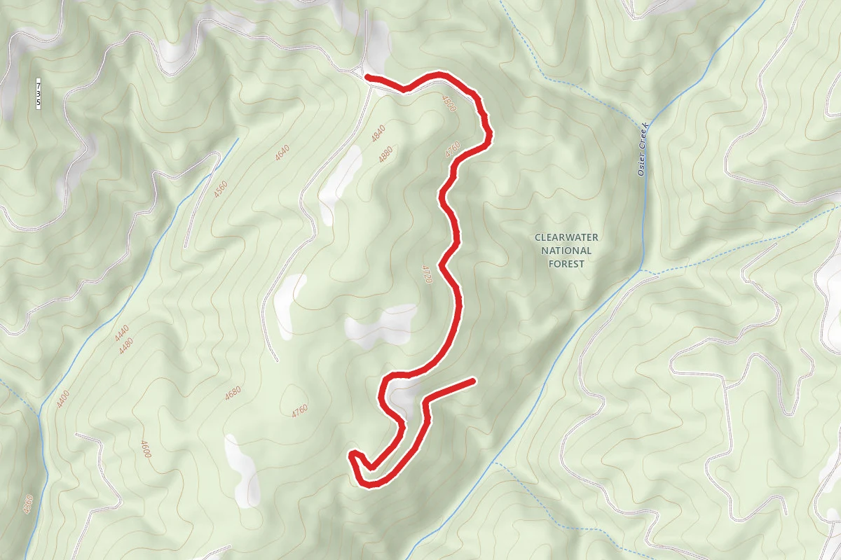 Osier Drainage 3