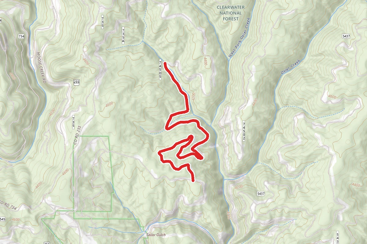 Osier Drainage 5
