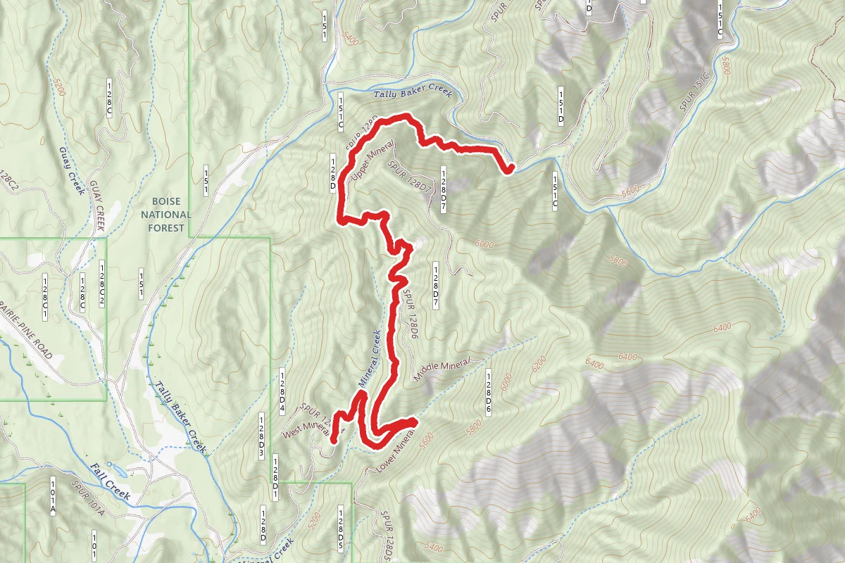 Mineral Creek