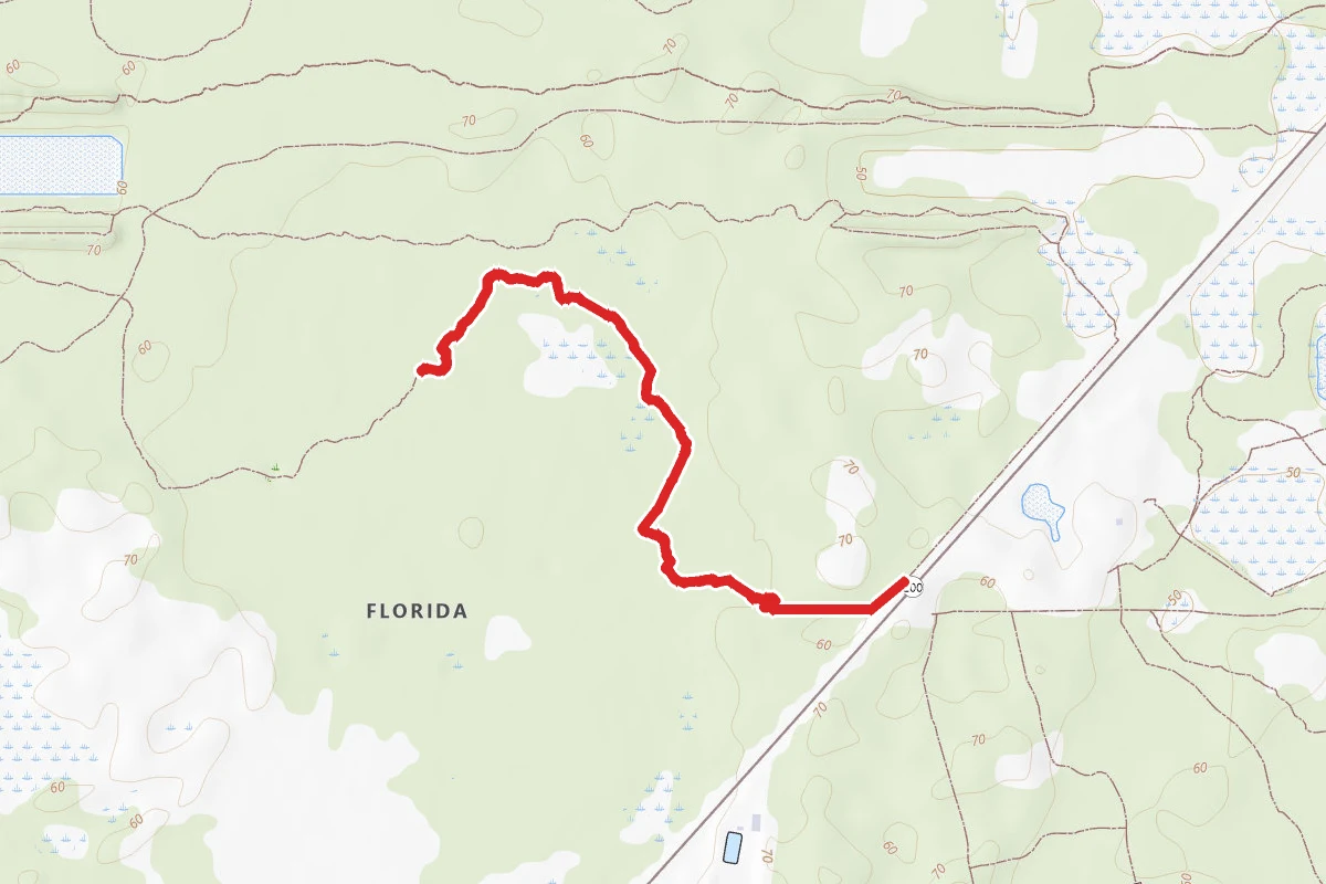 Trail #2