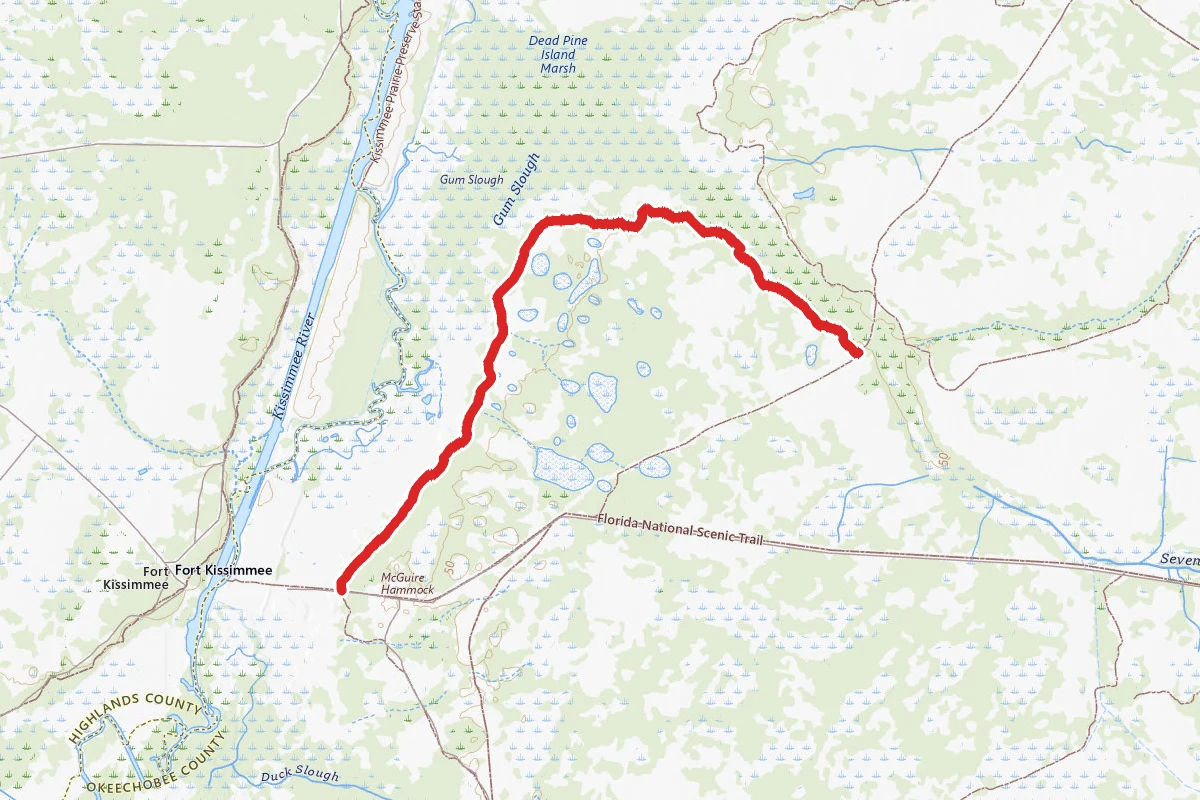 Mcguire Hammock Trail