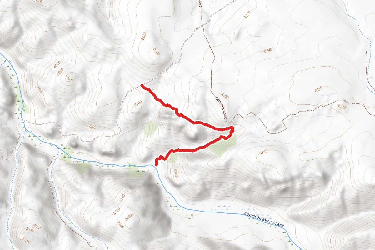 Skull Pass Trail