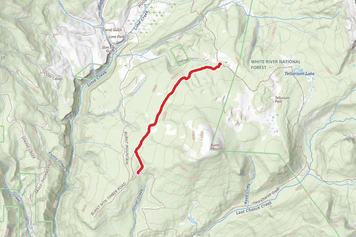 Tellurium Lake Trail