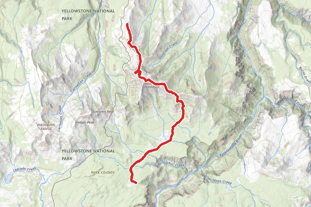 Mount Washburn Trail