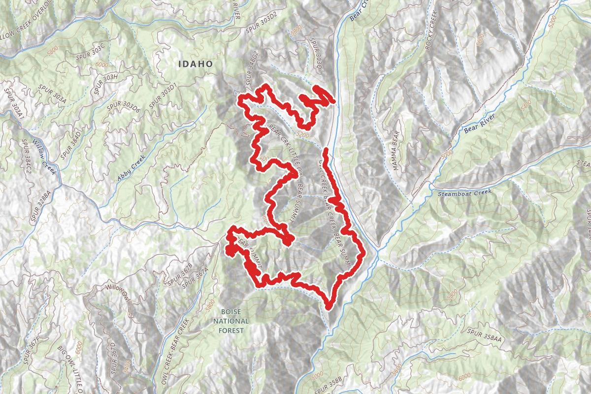 Bear Summit