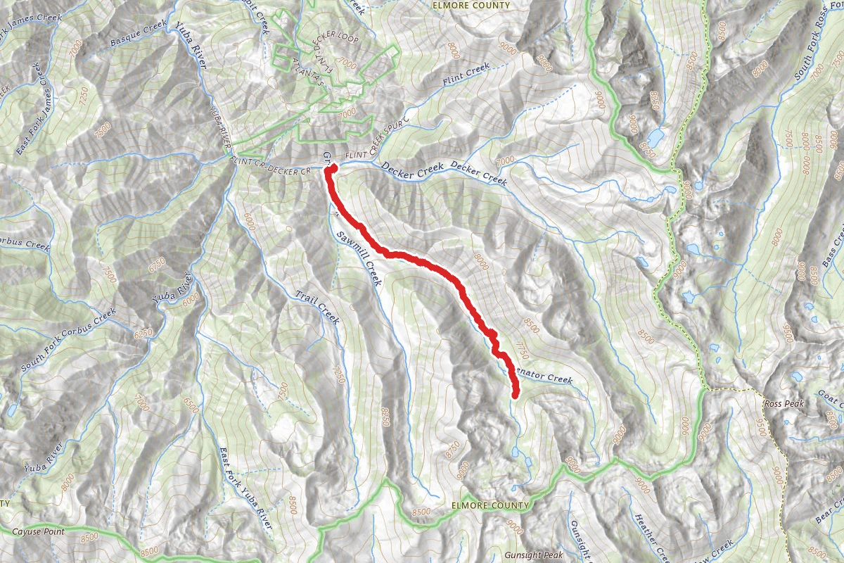 Grouse Creek