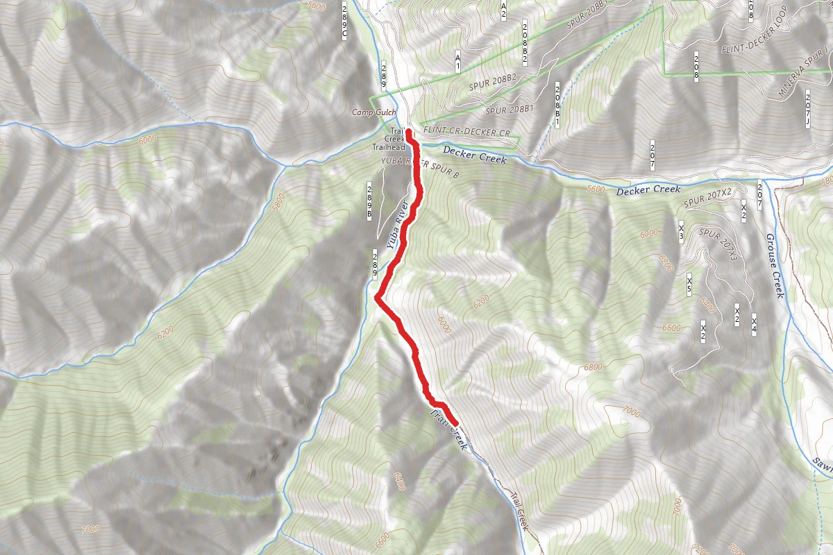 Trail Creek