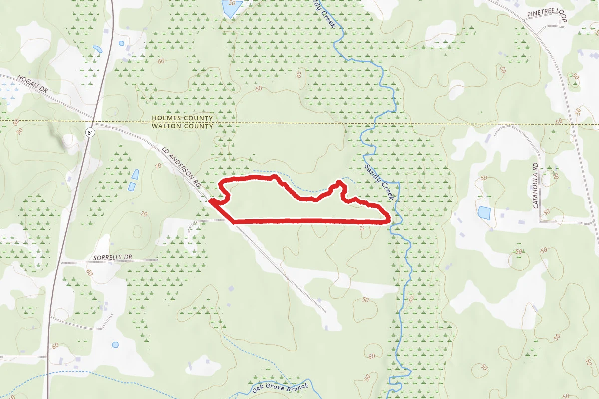 Uplands Trail