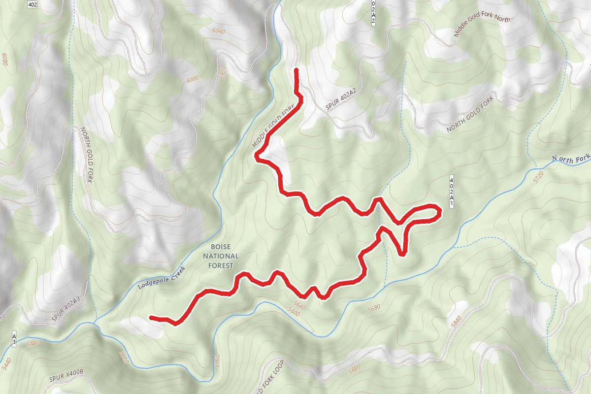 Middle Gold Fork