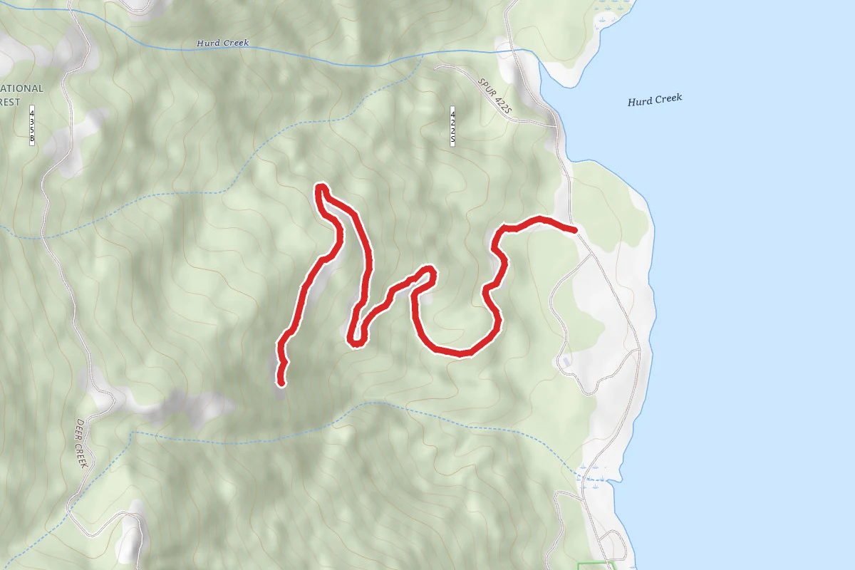 Camp Trail