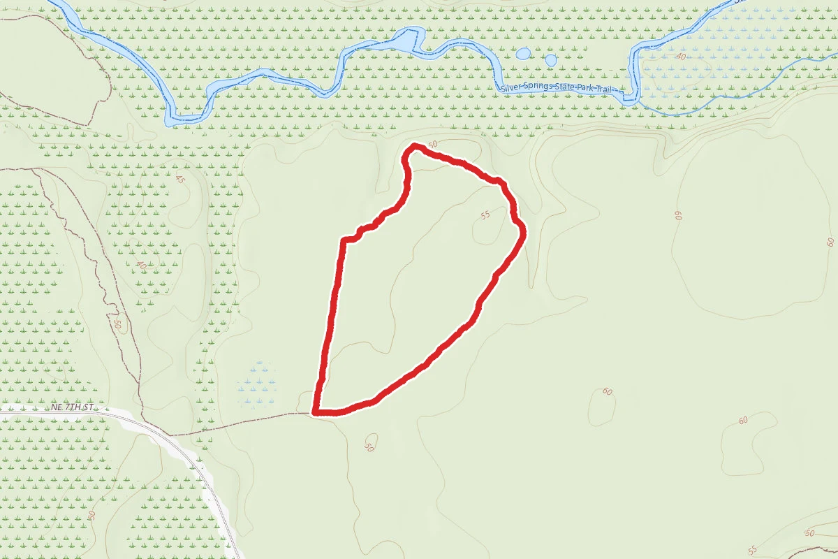 Ross Allen Camp Trail