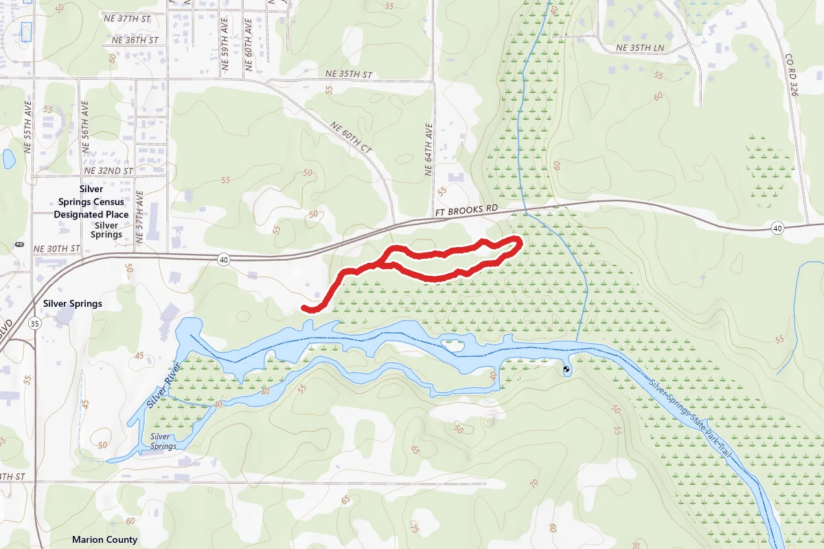 Creek Trail