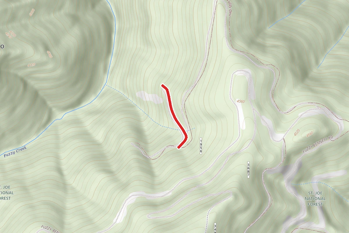 Fuzzy Ohv