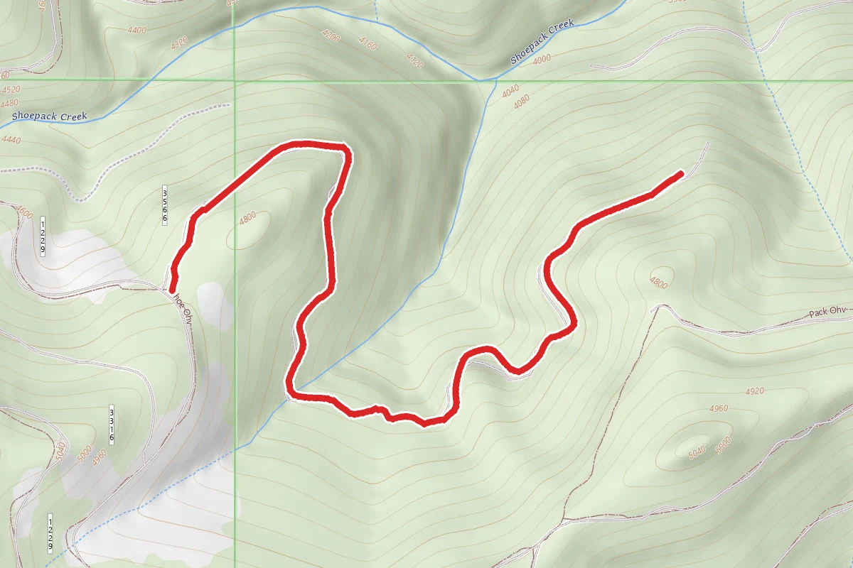 Shoepack Extra Ohv