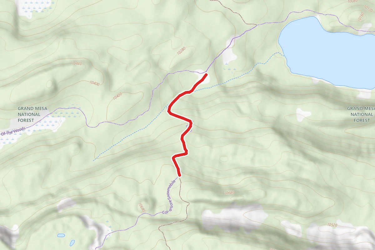 Cottonwood Trail