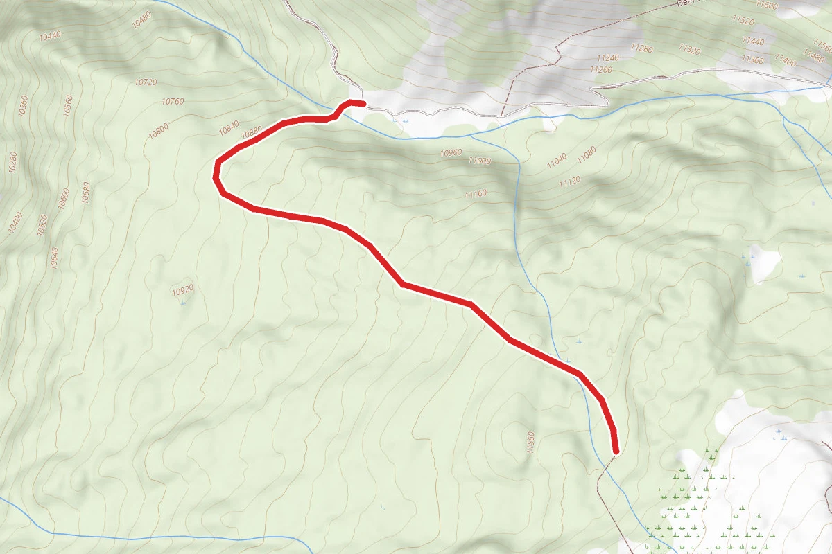 Whitehead Trail
