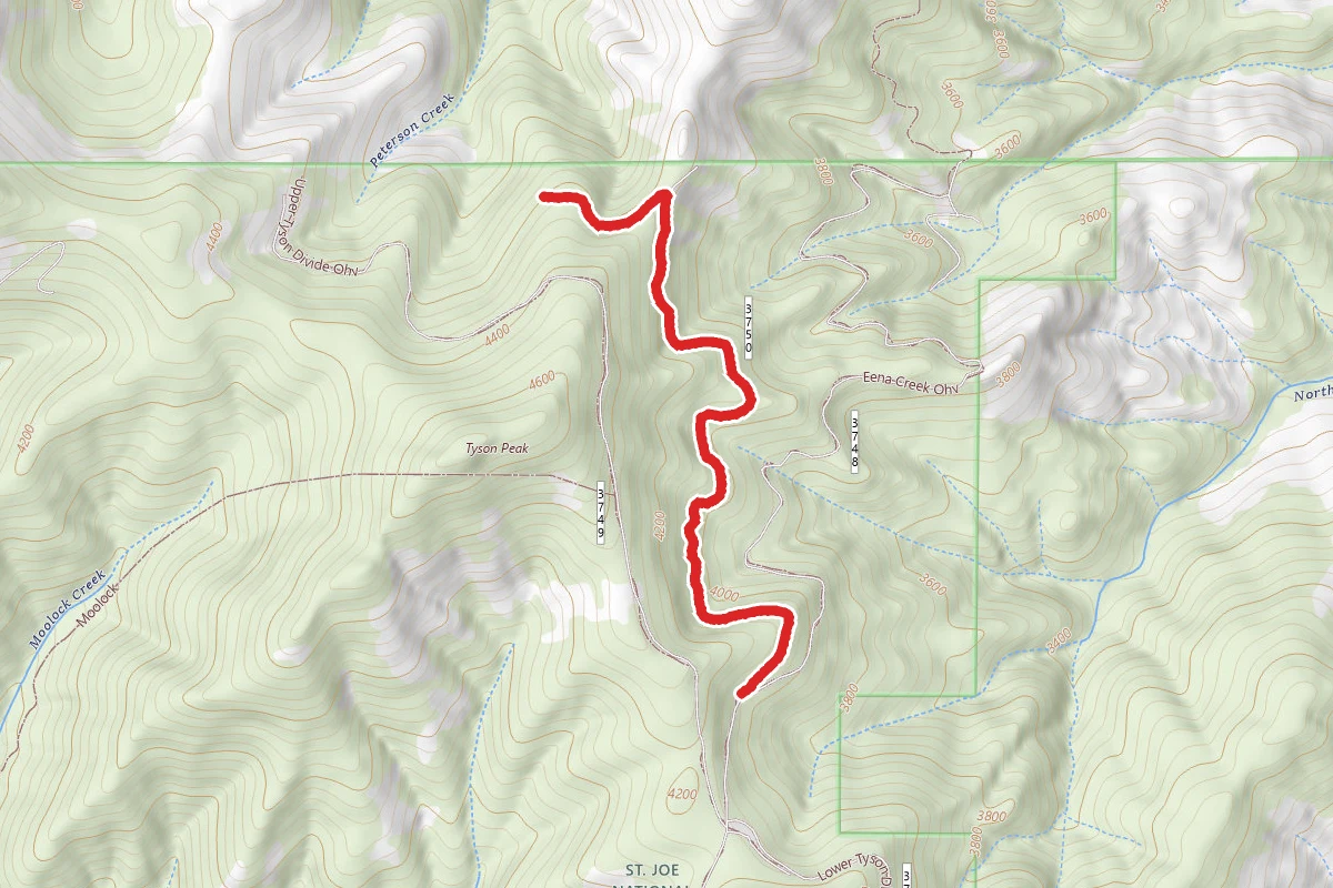 Lower Tyson Ohv