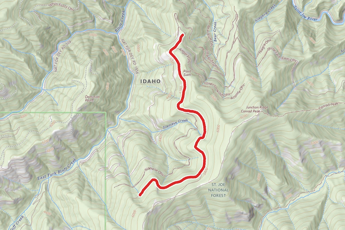 Calico Ohv