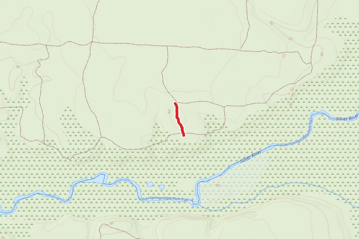 Orange Trail