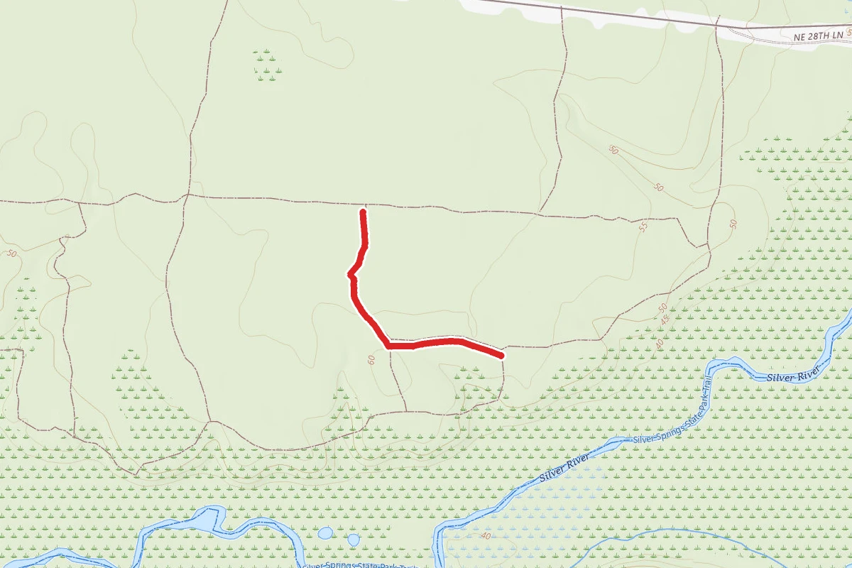 Orange Trail