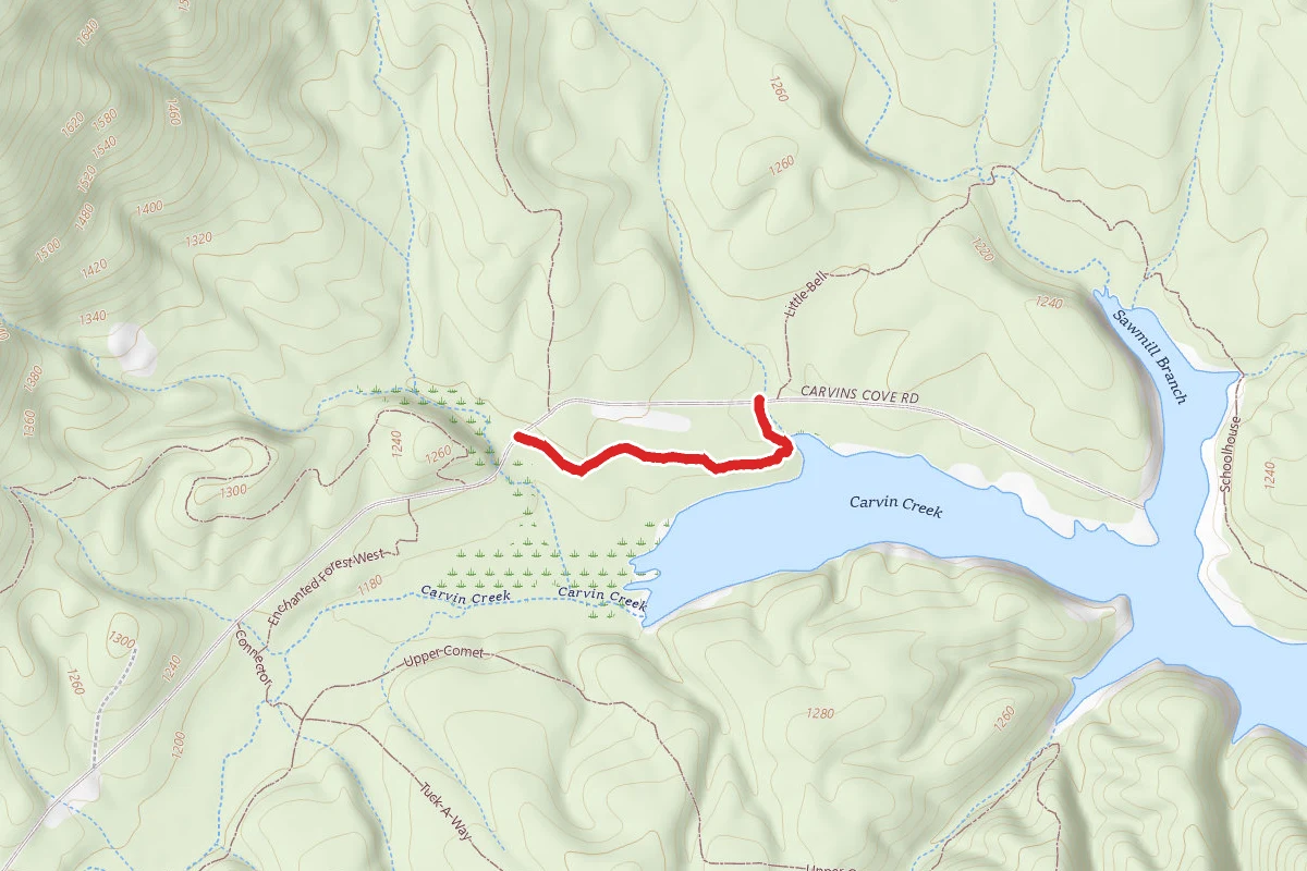 Enchanted Forest East