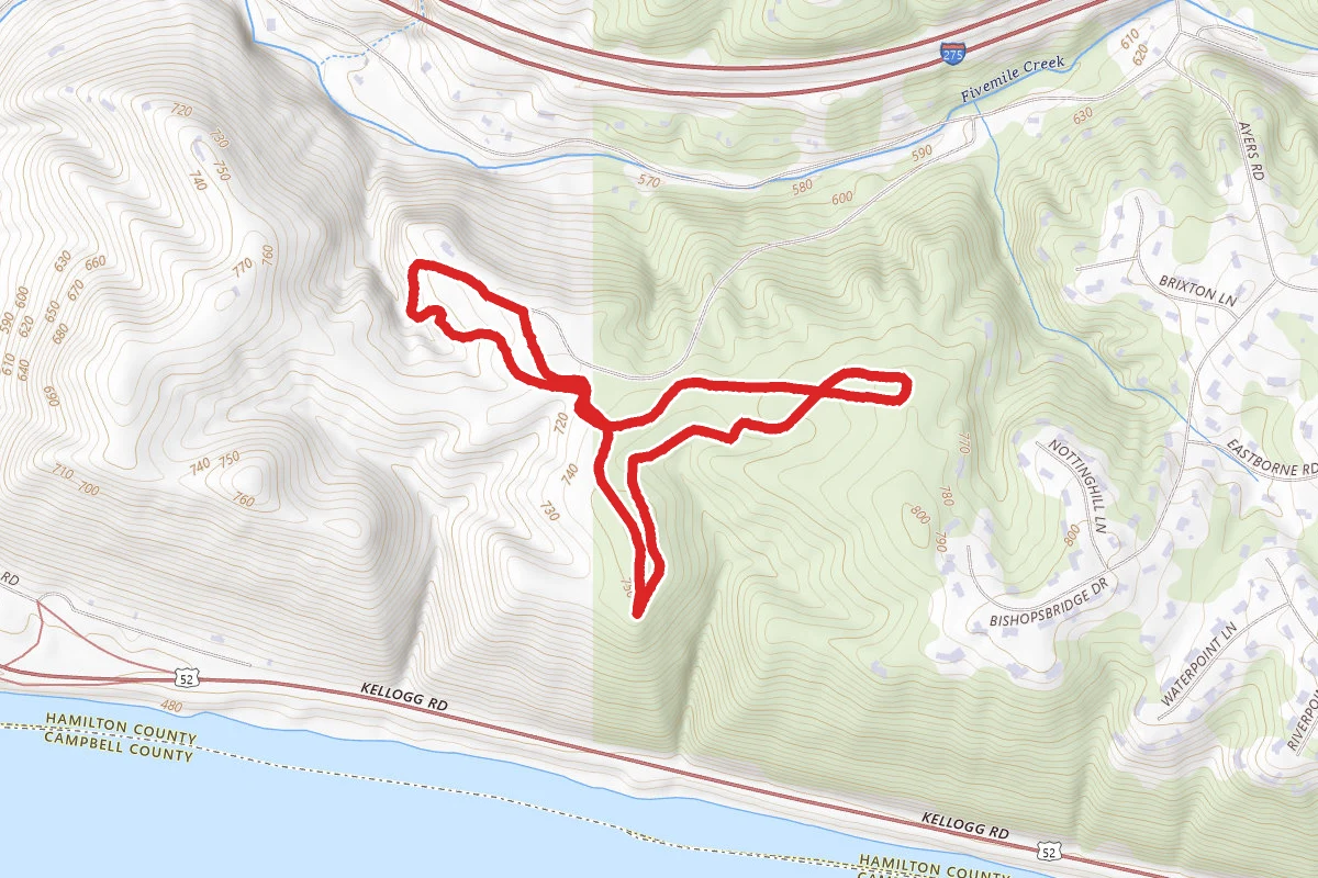 Trout Lily Trail