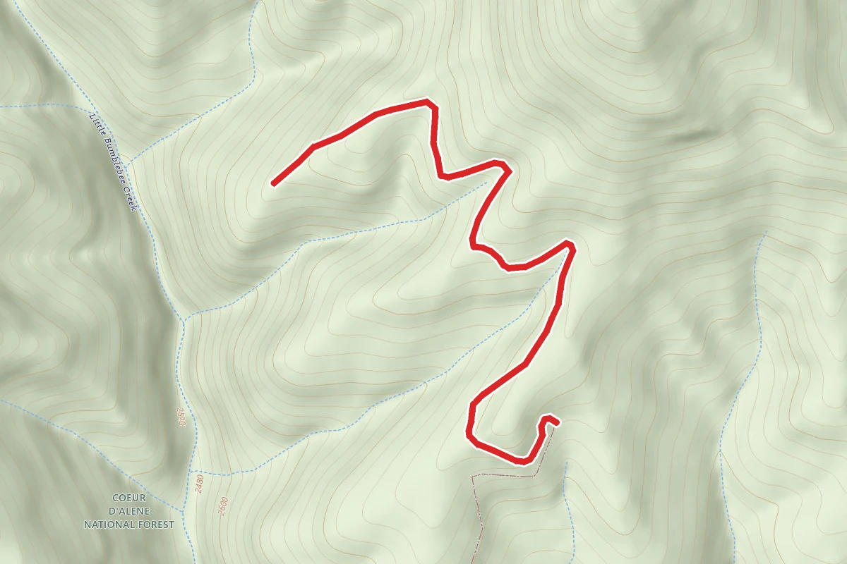 Bumblebee Ridge