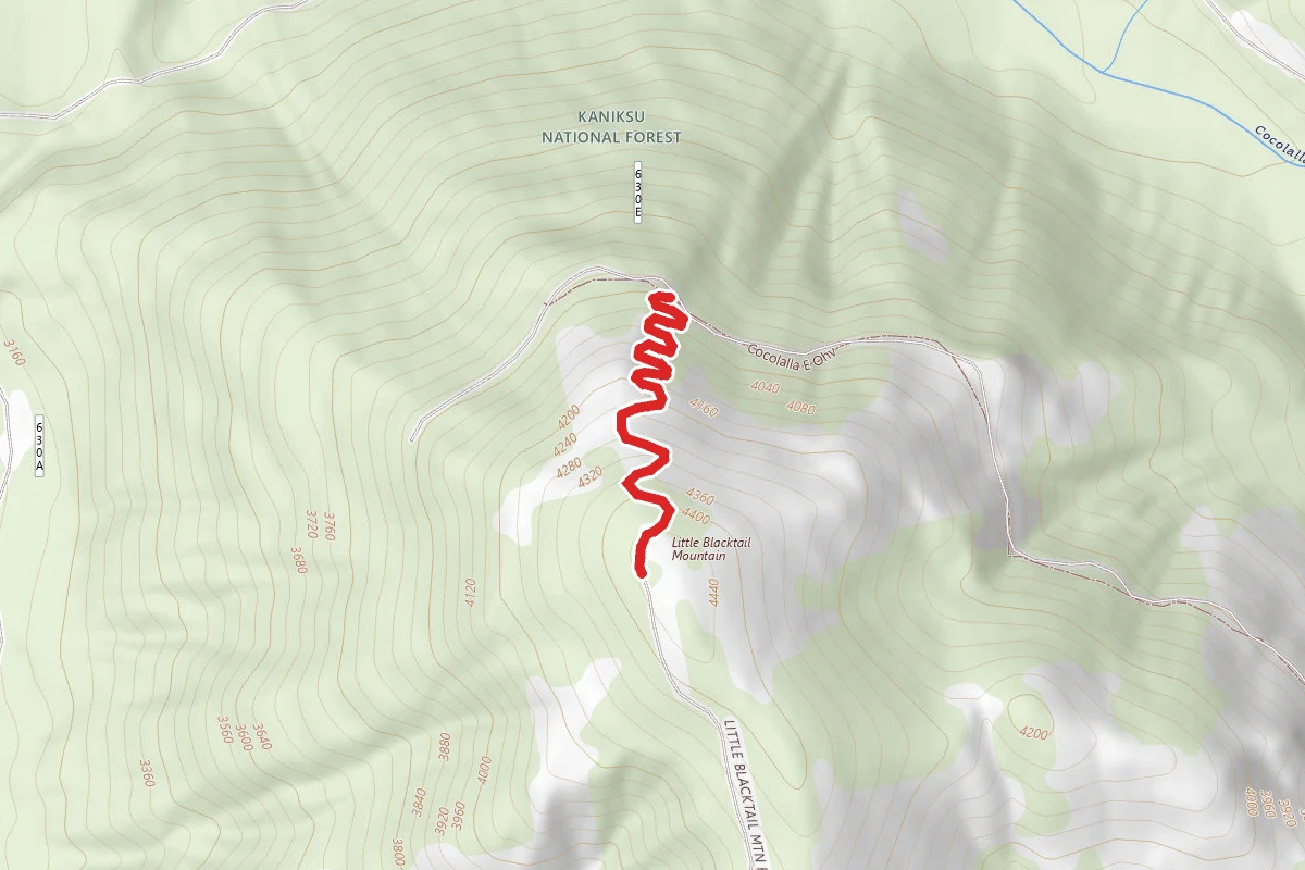 Radar Hill
