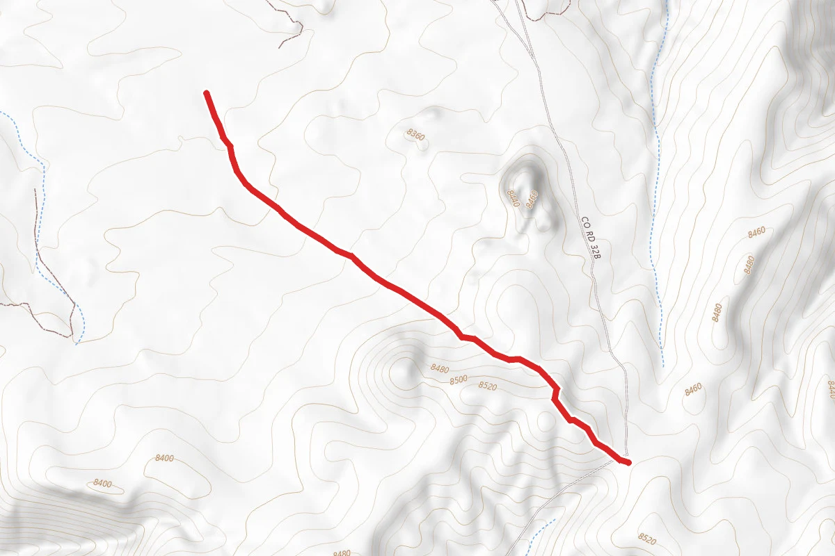 Trail 9-0