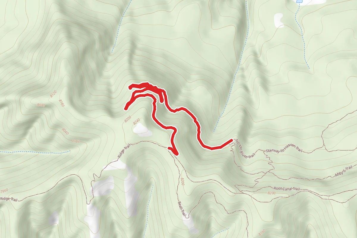 Wild Rose Trail
