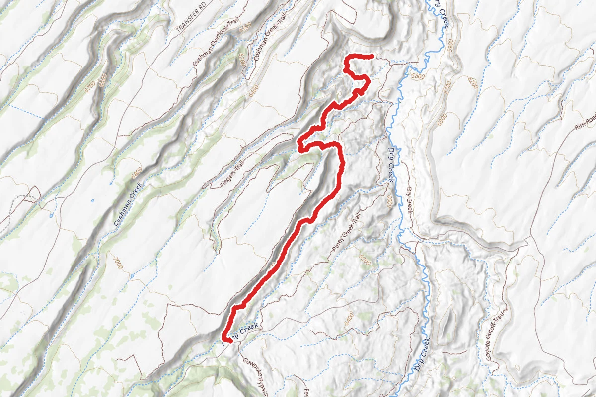 Ewok Village Trail