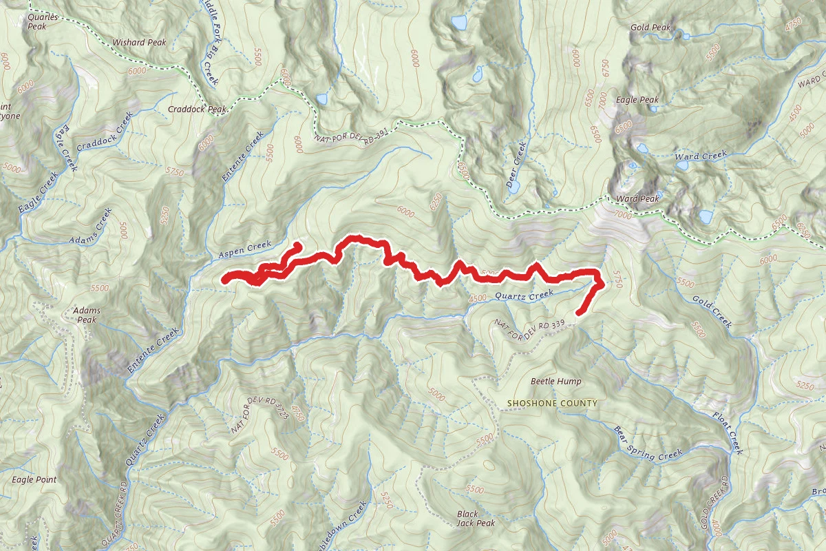 Aspen Saddle Ohv