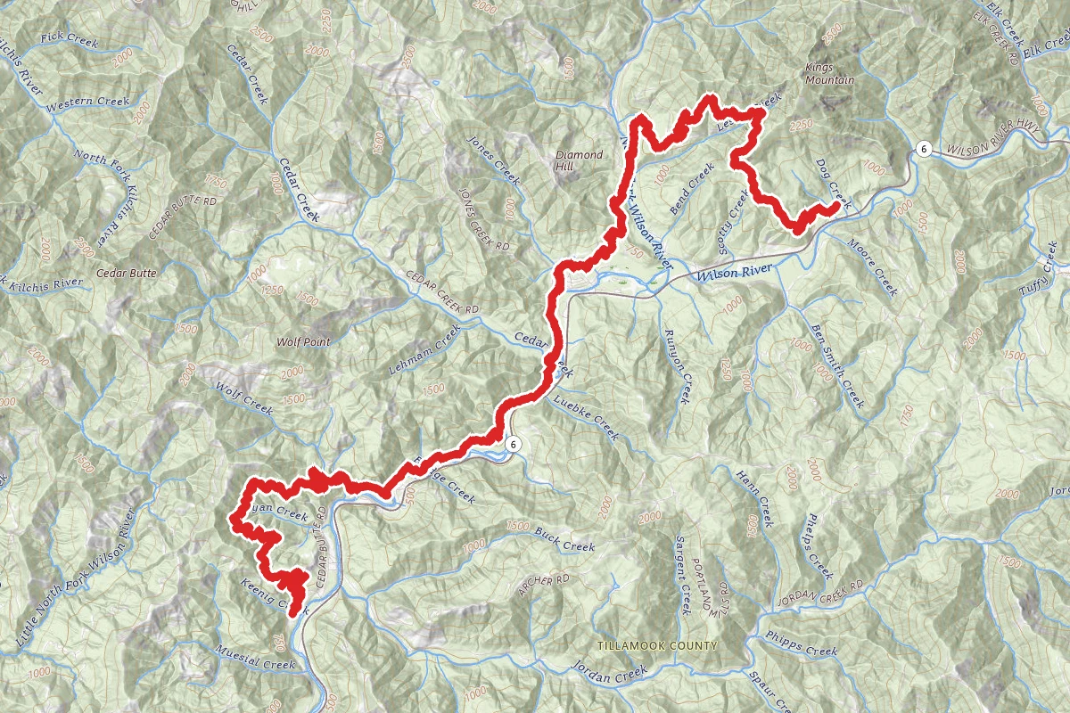 Wilson River Trail