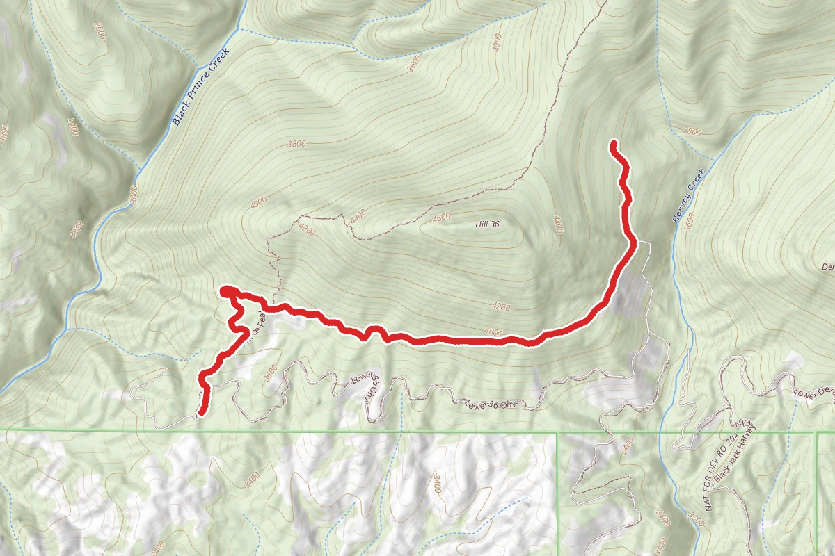 Hill 36 Ohv