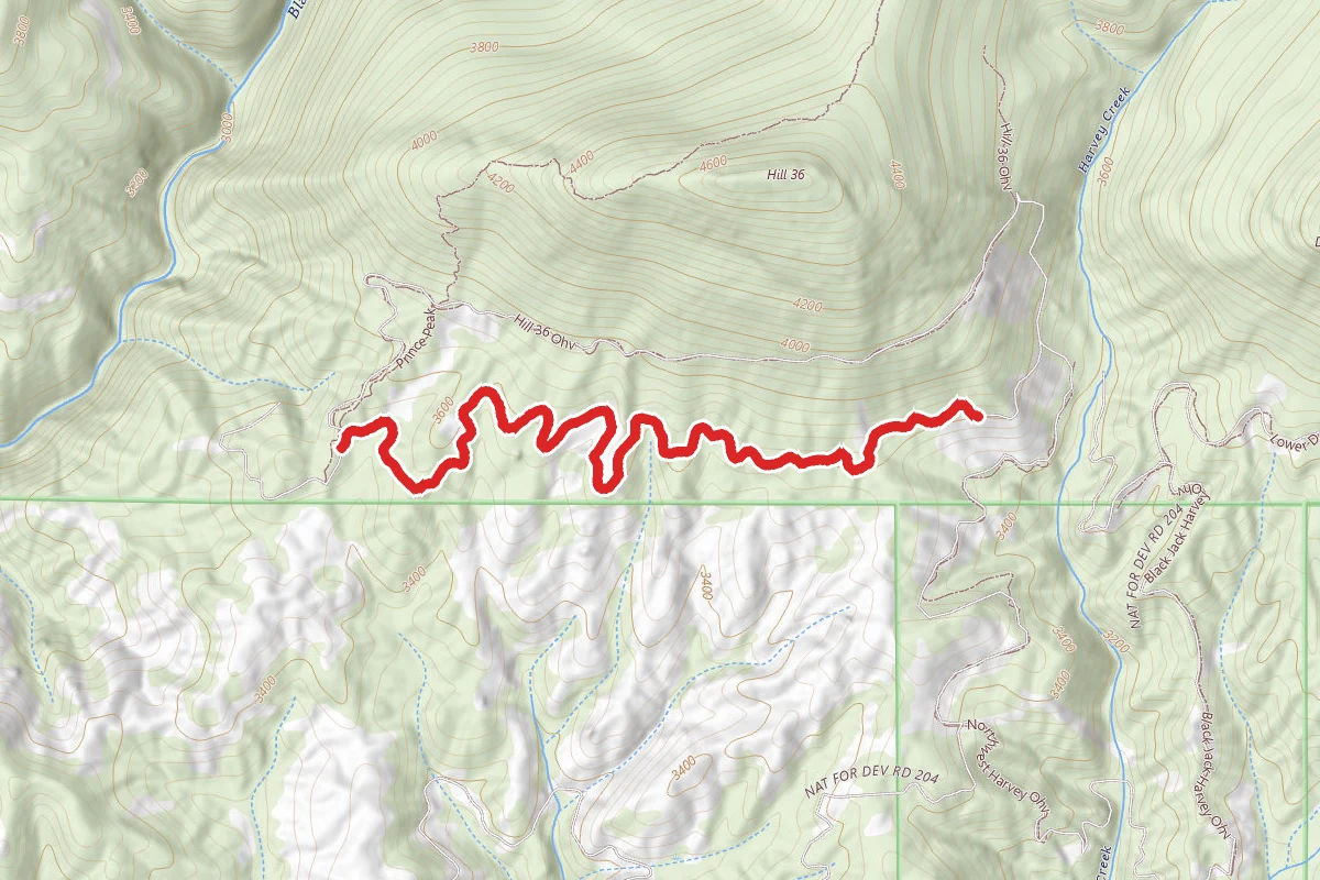 Lower 36 Ohv
